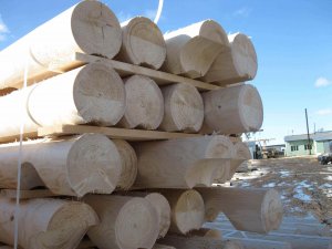 Оцилиндрованное бревно 260 мм с чашами под проект (лунный паз) естественной влажности