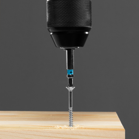 Бита Torx 25 х 50, сталь S2, 10 шт. Gross