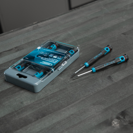 Набор отверток для точной механики, CrMo, двухкомпонентные рукоятки, 6 шт, пластиковый бокс Gross