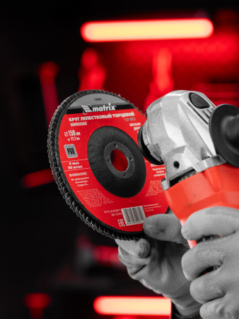 Круг лепестковый торцевой, P 60, 150 х 22.2 мм Matrix