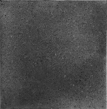 Тротуарная плитка Гладкая 400х400х50 черный