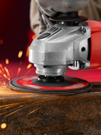 Круг лепестковый торцевой, P 120, 125 х 22.2 мм Matrix