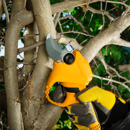 Секатор аккумуляторный CP-30,  18В Li-Ion Denzel цена