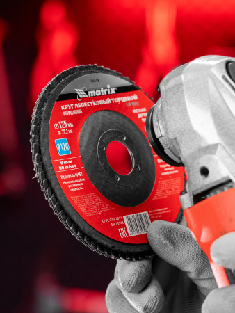 Круг лепестковый торцевой, P 120, 125 х 22.2 мм Matrix