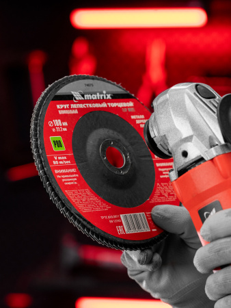 Круг лепестковый торцевой, P 80, 180 х 22.2 мм Matrix