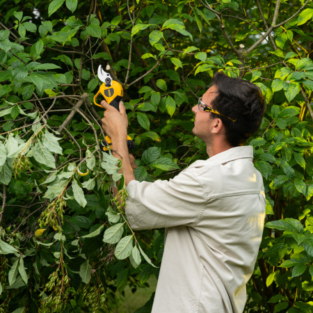Секатор аккумуляторный, бесщет., CP-30BL, Li-Ion, 20 В, лезвия SK5 // Denzel цена